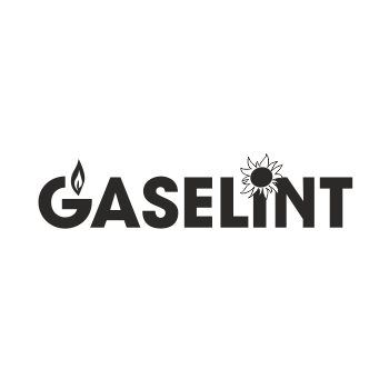 Gaselint
